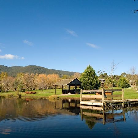 Sanctuary Park Cottages Healesville Buitenkant foto