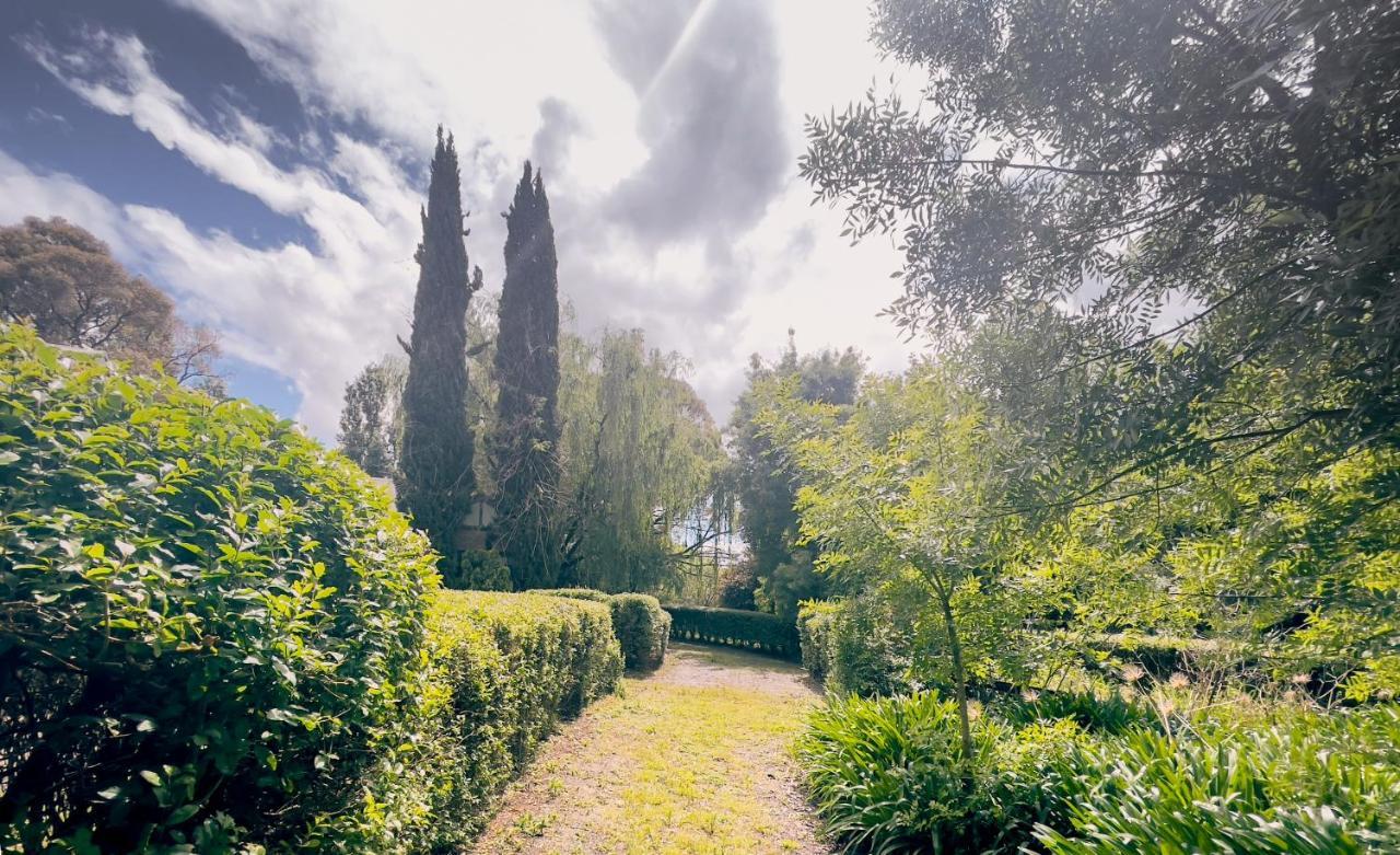 Sanctuary Park Cottages Healesville Buitenkant foto