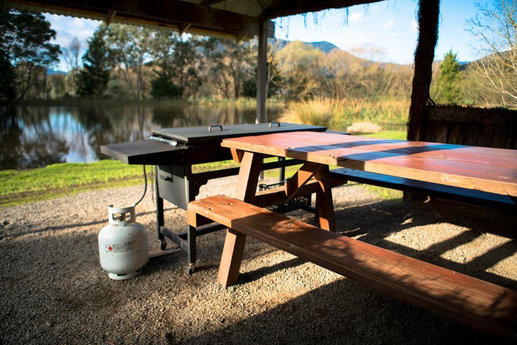 Sanctuary Park Cottages Healesville Buitenkant foto