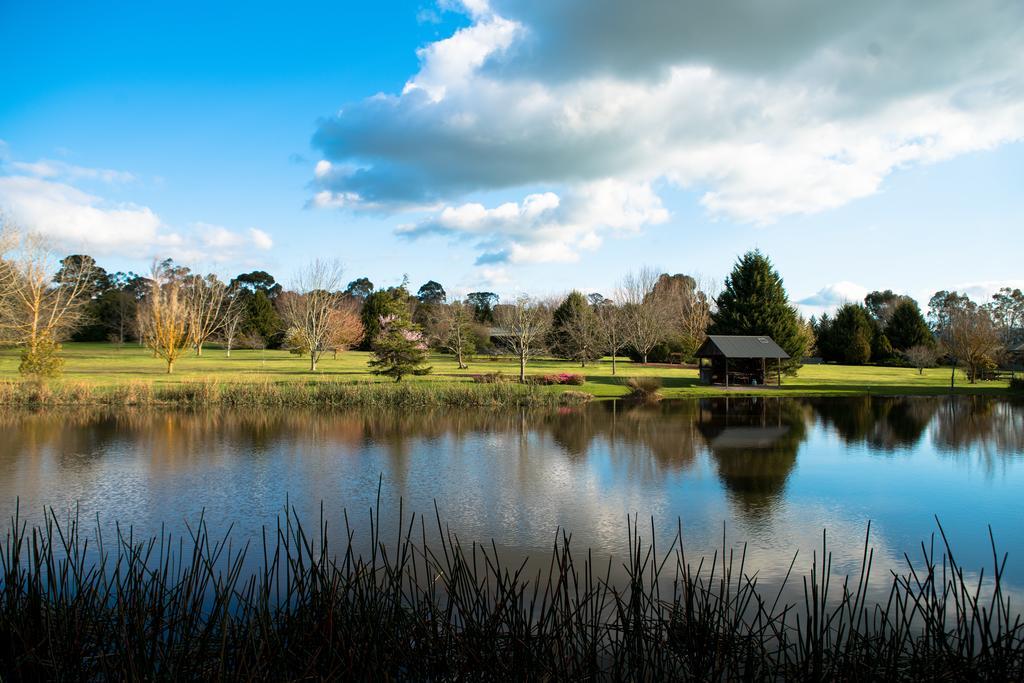 Sanctuary Park Cottages Healesville Buitenkant foto