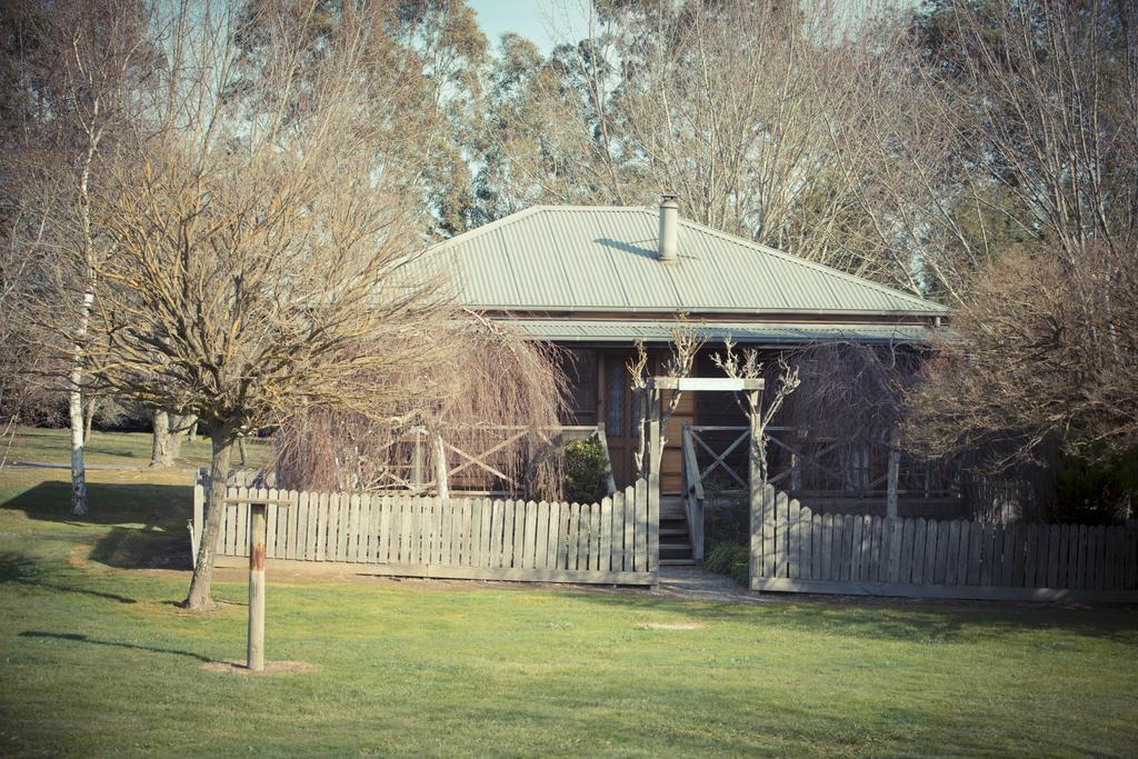 Sanctuary Park Cottages Healesville Buitenkant foto