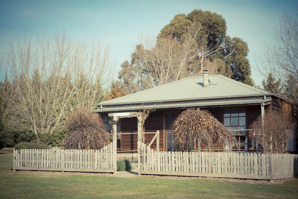 Sanctuary Park Cottages Healesville Buitenkant foto