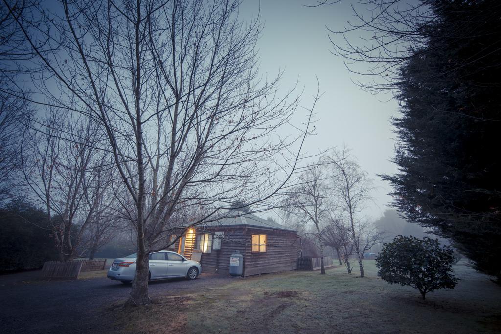 Sanctuary Park Cottages Healesville Buitenkant foto