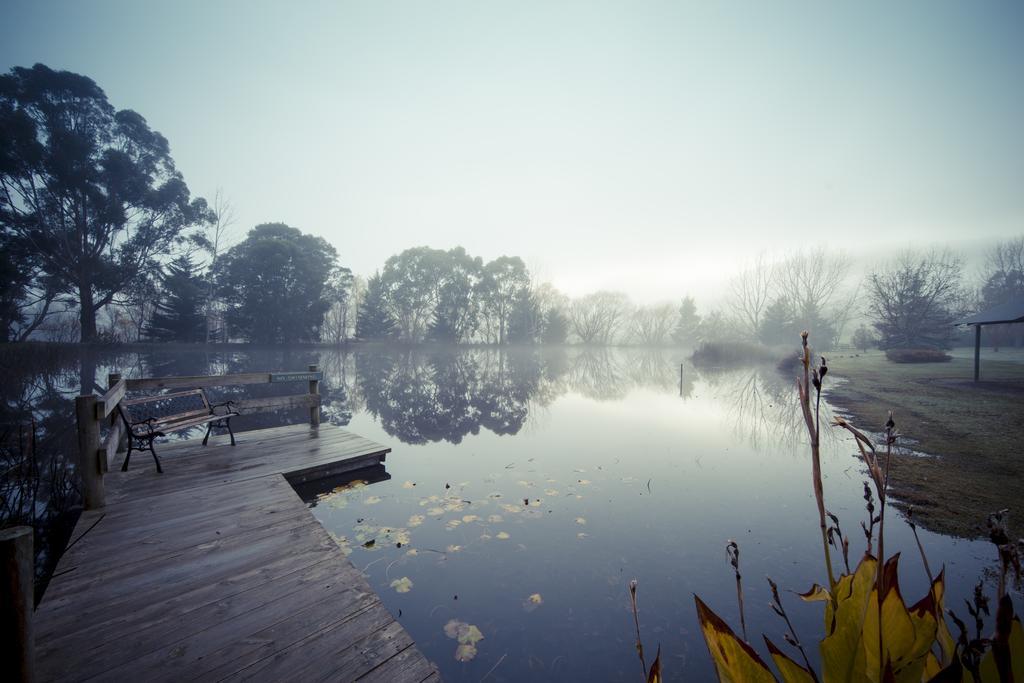 Sanctuary Park Cottages Healesville Buitenkant foto