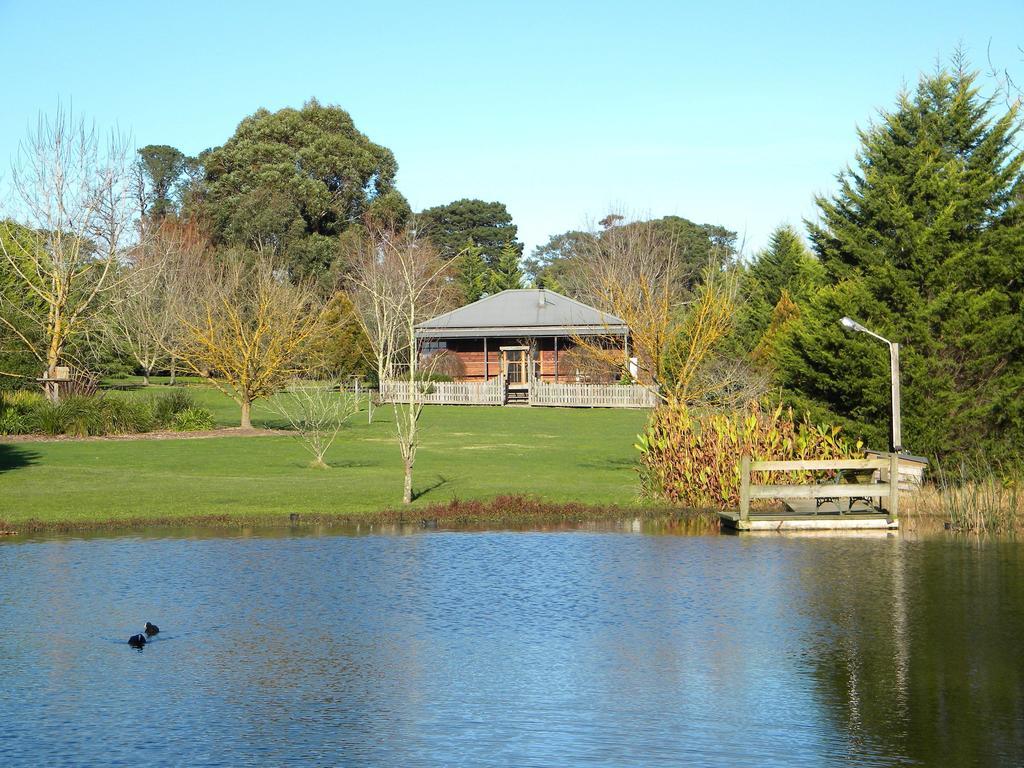 Sanctuary Park Cottages Healesville Kamer foto