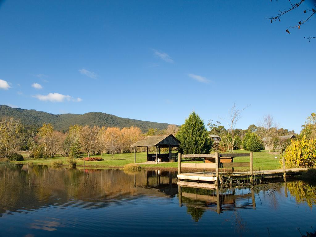 Sanctuary Park Cottages Healesville Buitenkant foto