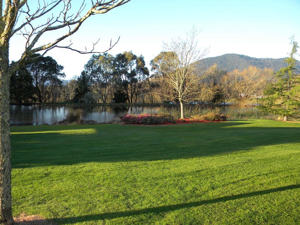 Sanctuary Park Cottages Healesville Buitenkant foto