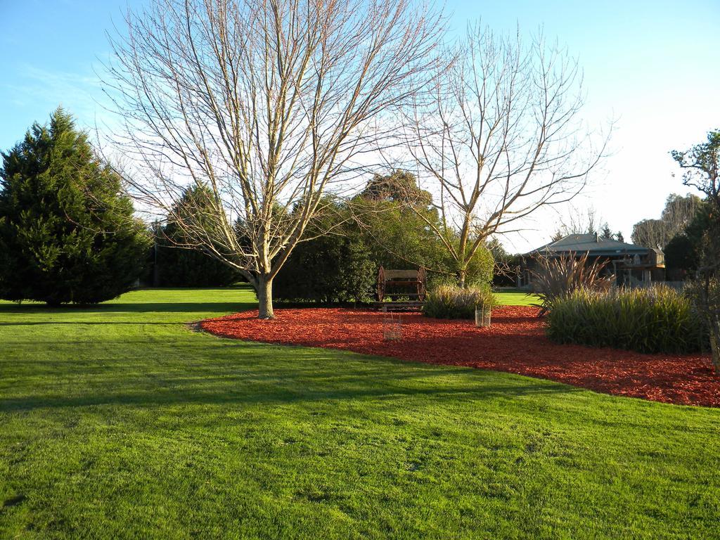 Sanctuary Park Cottages Healesville Buitenkant foto